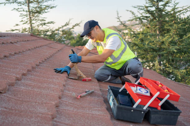 Best Storm Damage Roof Repair  in Royal Pines, NC