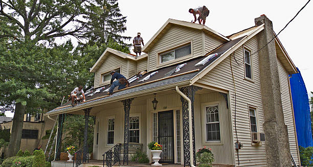 Best Flat Roof Repair Services  in Royal Pines, NC