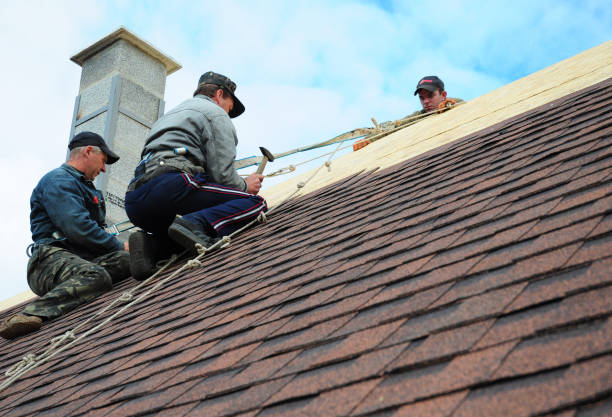 Gutter Installation and Roofing in Royal Pines, NC